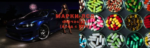 прущие крисы Аркадак
