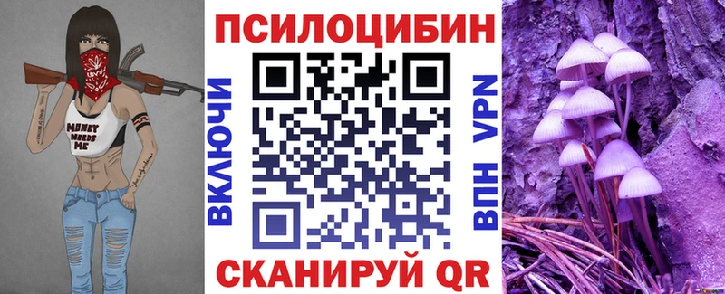 Псилоцибиновые грибы Psilocybe  дарк нет наркотические препараты  Мценск  что такое  